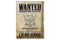 Blechschild Hund 30X40 Cm Wanted Dead Bulldogge Alias Metall Deko Schild