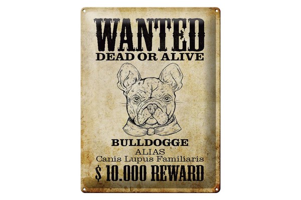 Blechschild Hund 30X40 Cm Wanted Dead Bulldogge Alias Metall Deko Schild-image