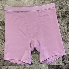 NWT VICTORIA'S SECRET LAVENDER THICK LOGO BAND BOY BRIEF BOXER SHORTS PANTIES