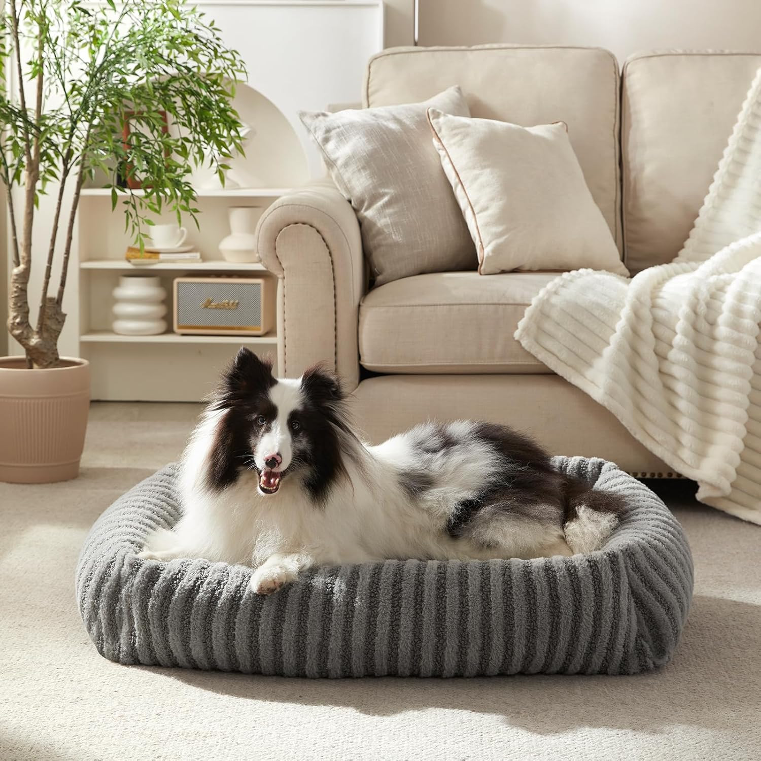 Cuccia Cane Interno, Cuccia per Cani, Cuscino Cane Impermeabile Sfoderabile E La