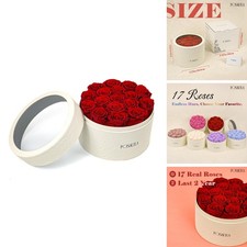 Rosaura Round Preserved Roses Gift red, 17 Roses RA-2025