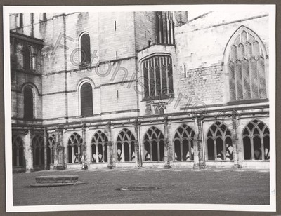 Foto England Ely Kathedrale Kreuzgang Innenhof Architektur 1959
