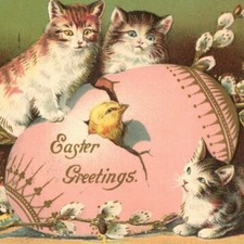 c.1910 Easter Postcard Kittens Watching Chick Hatching Decorated Egg VTG