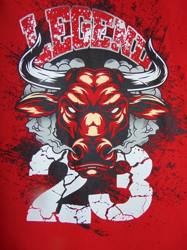 Chicago BULLS Boys Size 14 LEGEND 23 Red T-shirt NEW w/ TAGS! - Picture 3 of 6