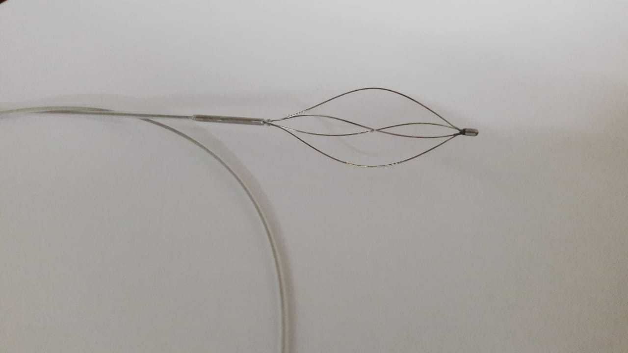 Foto 10 di 12