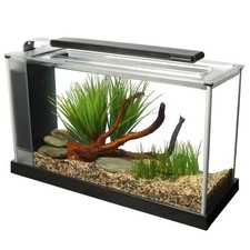 FLUVAL SPEC AQUARIUM 10L / 19L GLOSS BLACK WHITE LED LIGHT HAGEN FISH TANK