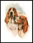 BASSET HOUND DOGS HEAD STUDY ART PRINT POSTER