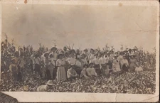 Picnic in the Fields Vintage Real Photo Postcard
