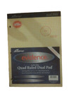 Ampad Evidence Letter Size Quad Ruled Dual Pad 100 Sheets