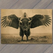 POSTCARD Buffalo Bison Majestic Winged Soaring in the Sky Buffalo Wings Funny