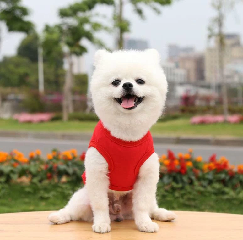 Camisa 100 % algodón para perro ropa para mascotas cachorro camisetas gato camiseta transpirable elástica Foto 2 de 3