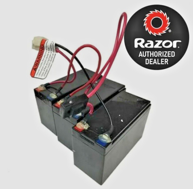 Genuine Razor 36 volt Battery W13114501003 EcoSmart Scooter w/ SOLDERED HARNESS