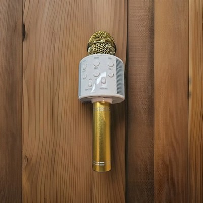 Kabelloses Bluetooth Karaoke Mikrofon Lautsprecher Handgerät KTV (gold)
