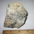 Foto 12 di 12