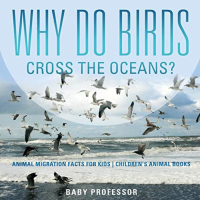 Why Do Birds Cross the Oceans? Animal Migration Facts f - Paperback / softback N