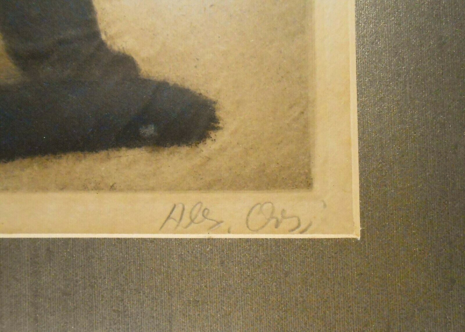 Picture 6 of 12
