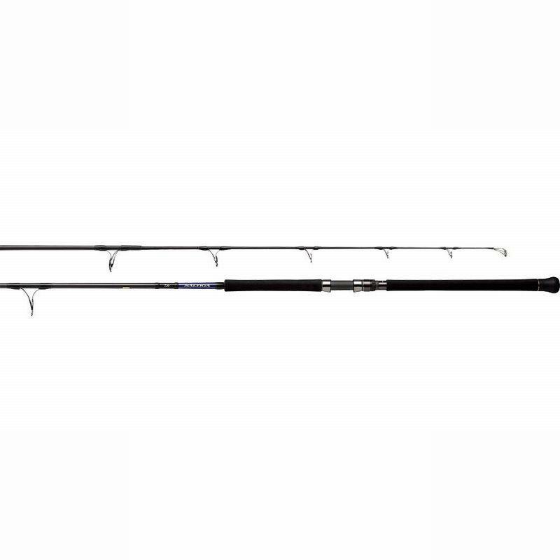 Daiwa 20 SALTIGA AIR PORTABLE C78-10 Spinning Rod | eBay
