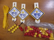 10 Boy Scouts of America BSA Cubs Progress Toward Ranks Wolf Bear Badge