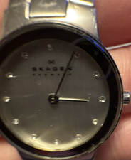 Наручные часы Skagen Silver-Tone Women's Analog