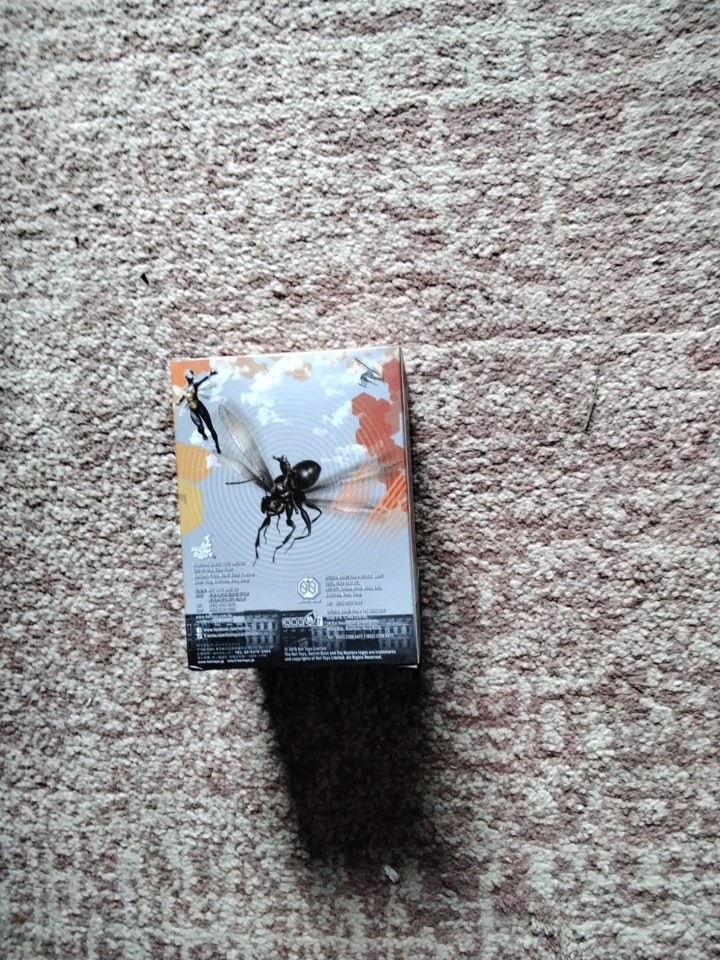ant man on flying ant and the wasp | eBay Australia