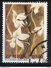 Zambia 1992 single 20K stamp from the Orchids set in fine used