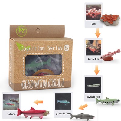 1 Box Animal Model Toys Bee Panda Life Cycle Learning Biology Growth Cycle 9