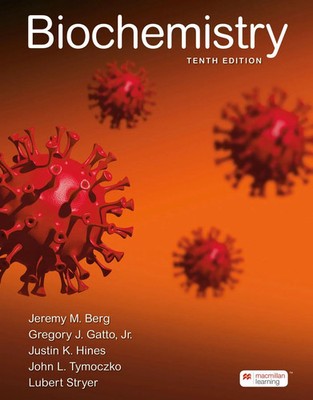 Biochemistry | Jeremy M. Berg (u. a.) | Taschenbuch | Kartoniert / Broschiert