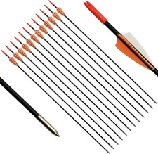12pcs 31" Fiberglass Arrows Archery Training Arrow with Durable Shaft Blunt Tip