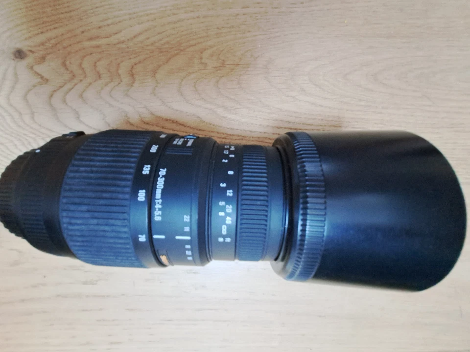 Canon EOS 77D  + Objectif Canon EFS 18-55mm + Canon 50mm + Sigma 70-300mm, photo 3 sur 5