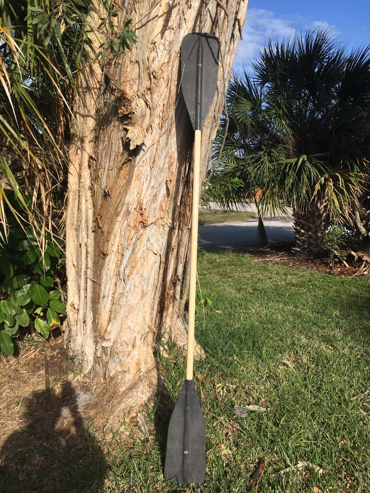 Paddle Oar.