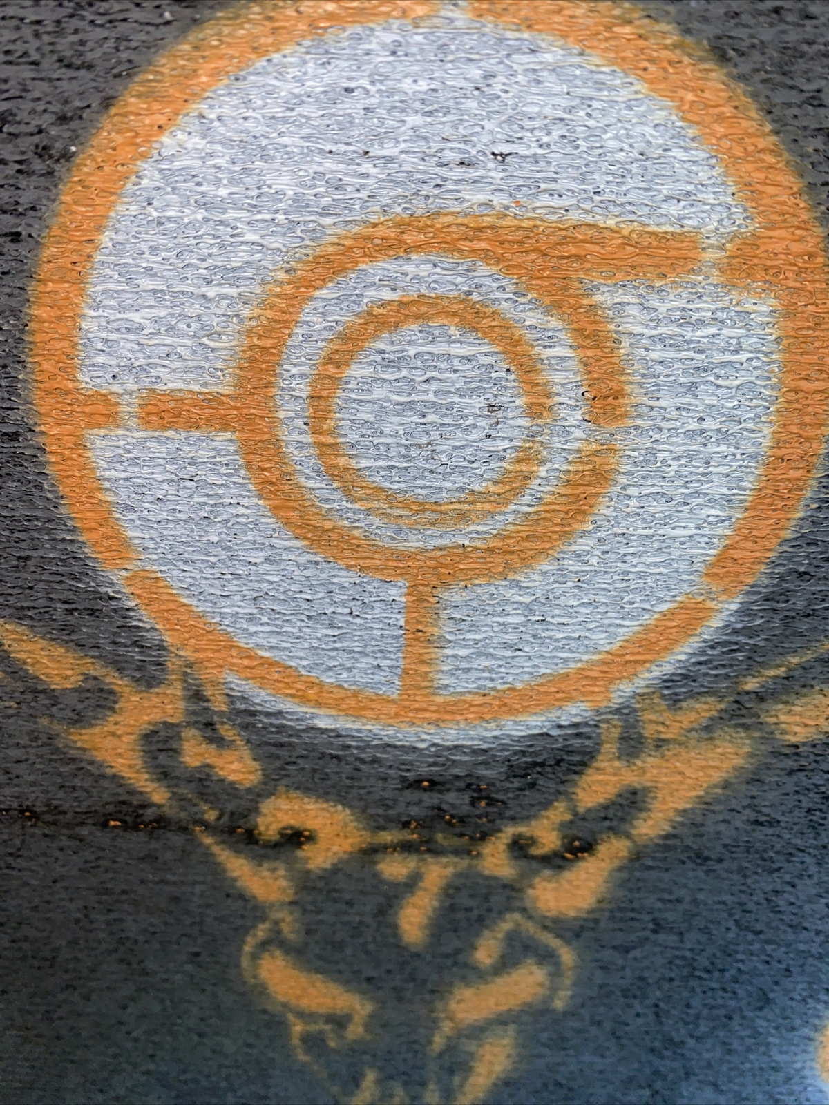 Picture 6 of 6