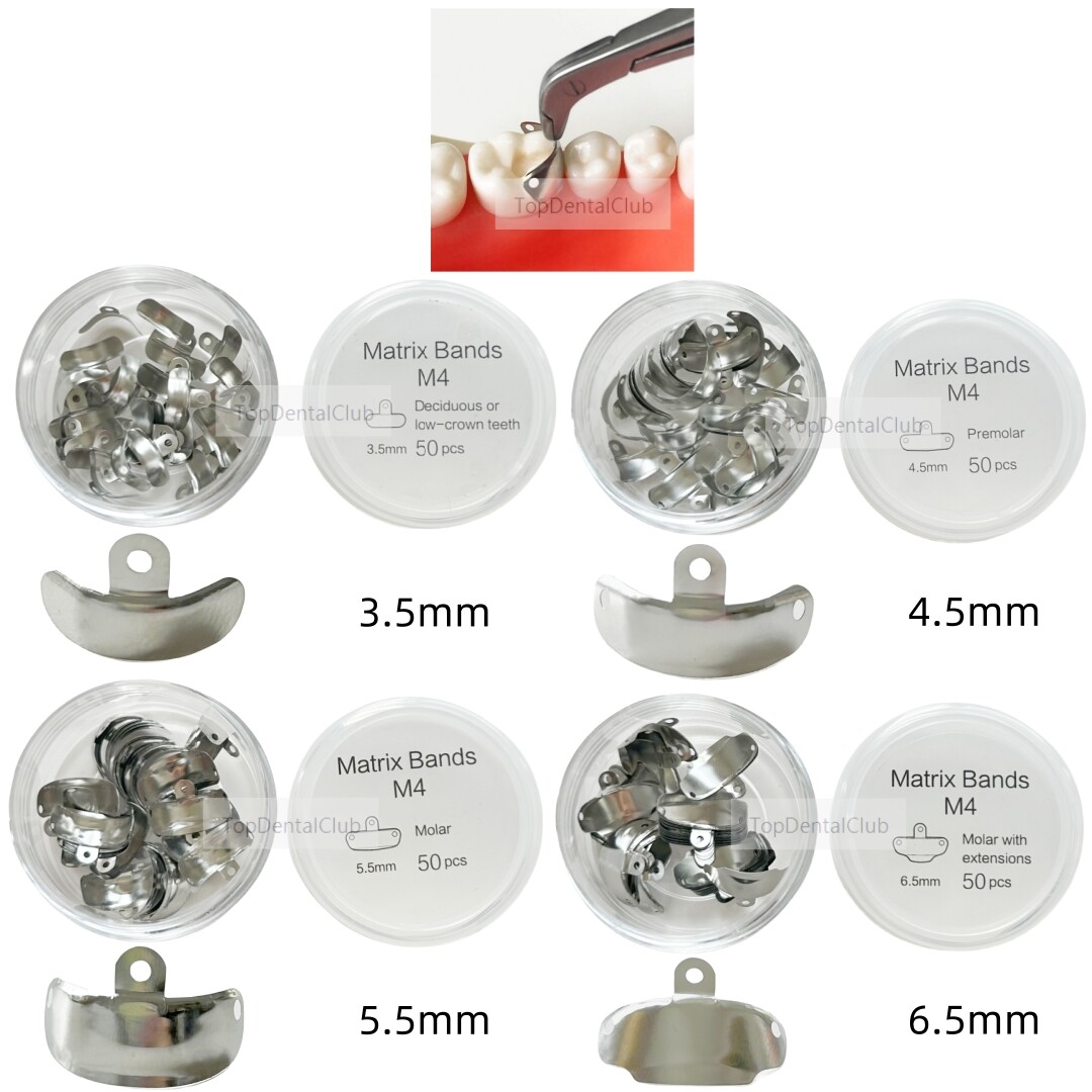 Dental Sectional Matrix 3D Matrices Hole Band Protrusions Matrice