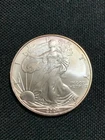 American Silver Eagle $1 – Uncirculated matte-finish Silver Coin – 2004
