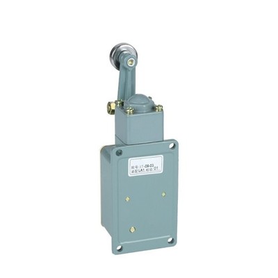 LX19-121 Automatic Reset Travel Switch for DELIXI Replacement Repair #wd