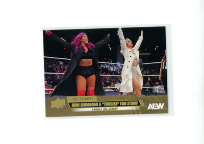 2026 Upper Deck AEW Mina Shirakawa & Toni Storm #81 Tag Teams High Gloss 8/10