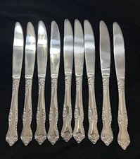 Lot Of 9 Oneida Azalea Dinner Knives 9 1/8” Floral Embellished Pattern