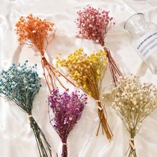 Mini Natural Dried Flowers Bouquet Dry Flowers Photography Photo Backdrop Decor