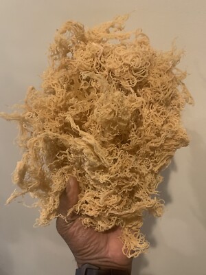 1lb Raw Wildcrafted Caribbean Sea Moss - Stop Scrolling BUY THIS NOW!!!