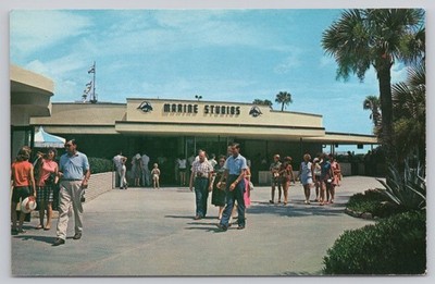 Vintage Marine Studios Oceanarium Postcard South of St. Augustine FL