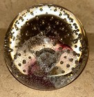 Picture 12 of 21