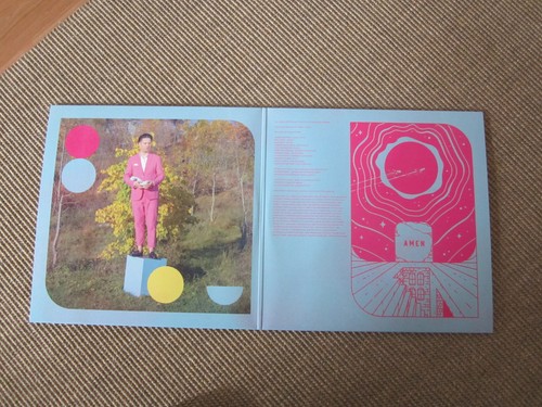 GET WELL SOON Amen 2x12" Doppel-LP Vinyl plus POSTER The Humming Womb - Bild 5 von 12