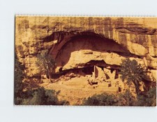 Postcard Oak Tree House Ruin Mesa Verde National Park Colorado USA
