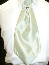 USED Cravat Necktie Pretied - KIWI C805