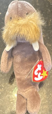Bolsa de frijoles de felpa Ty Beanie Babies JOLLY Morsa con etiqueta 1996 MPN 4066