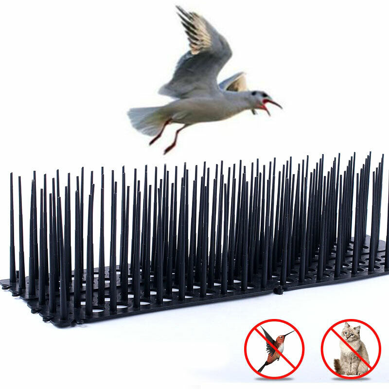 Bird Spikes Fence Cat Defender Plastic Fence Wall Spikes For Keep Off Birds SW