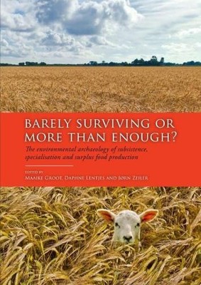 Barely Surviving or More than Enough? - 9789088904769