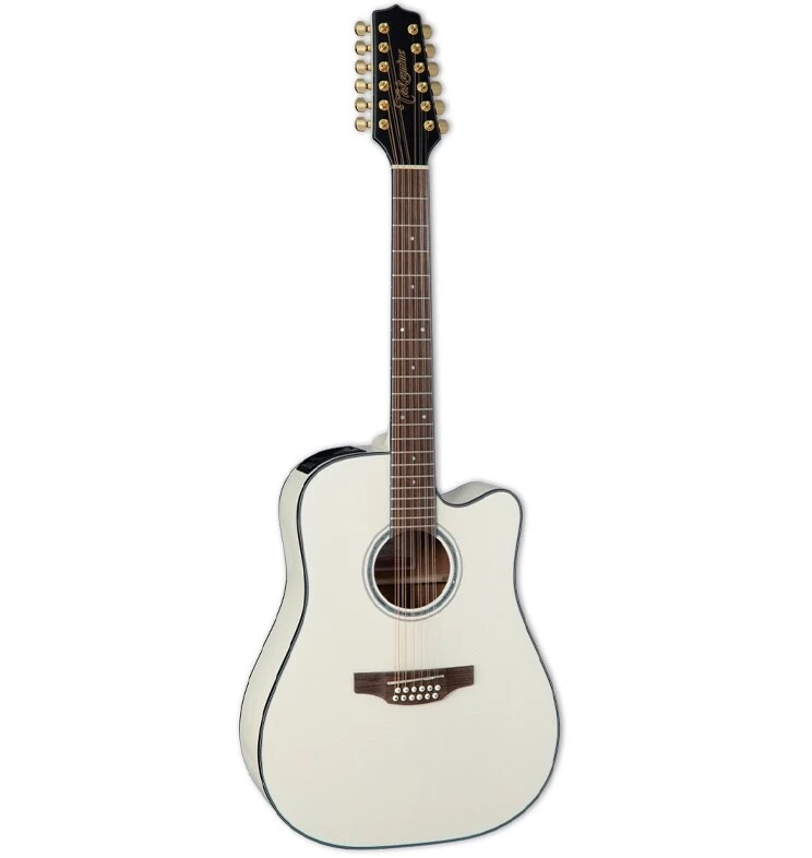 Takamine e deals series