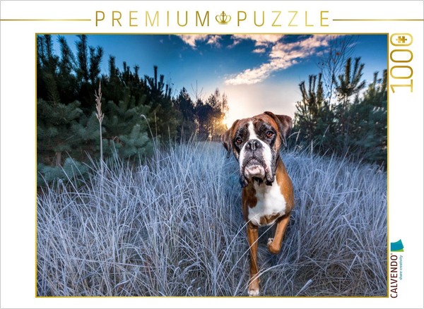 Calvendo Puzzle A Frosty Sunrise | 1000 Pieces, Finished Size 25.2 × 18.9 In (64-image
