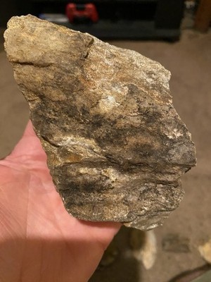 Gold Ore Mineral Specimen in Quartz