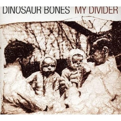 My Divider [Audio CD] Dinosaur Bones